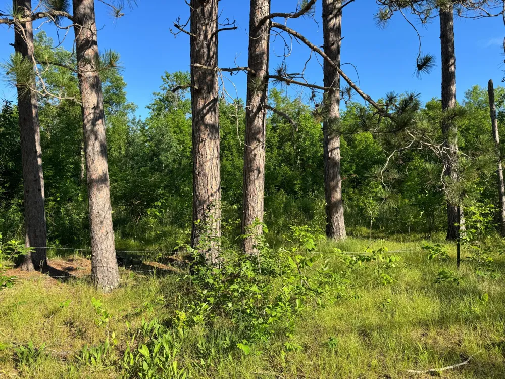 TBD-2 Riverside Road Moose Lake, MN 55767