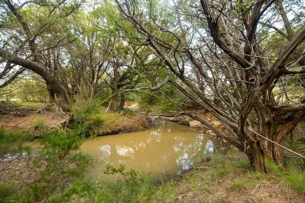 Legends Drive Ranger, TX 76470