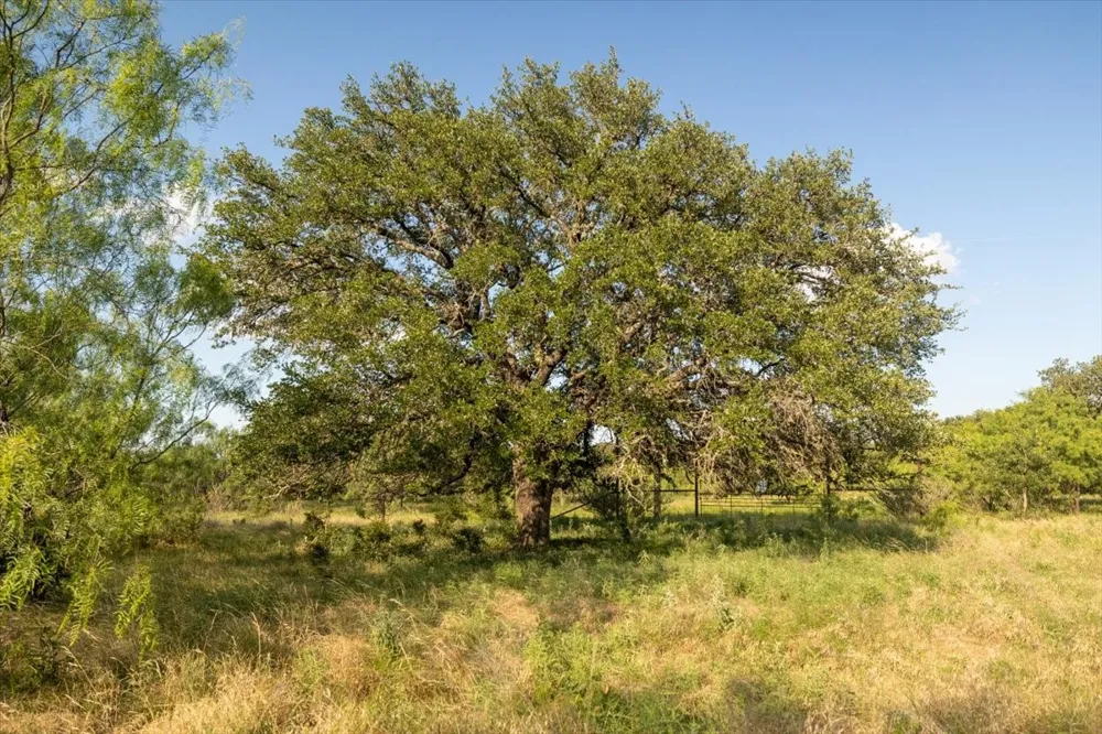 Legends Drive Ranger, TX 76470