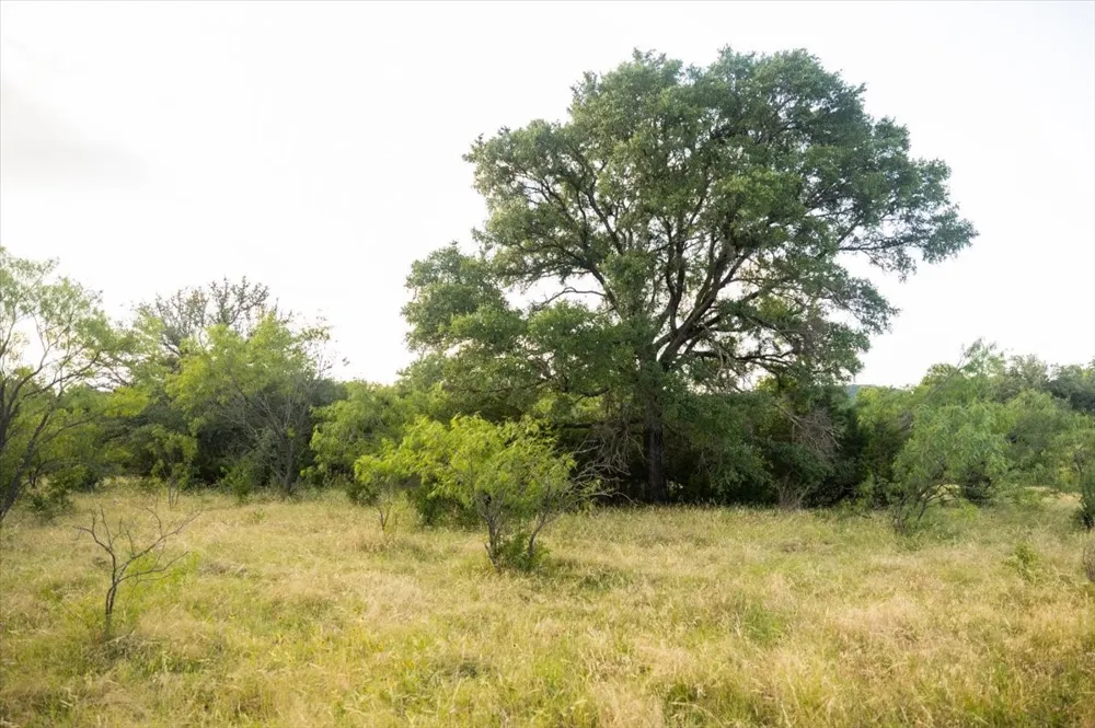 Legends Drive Ranger, TX 76470