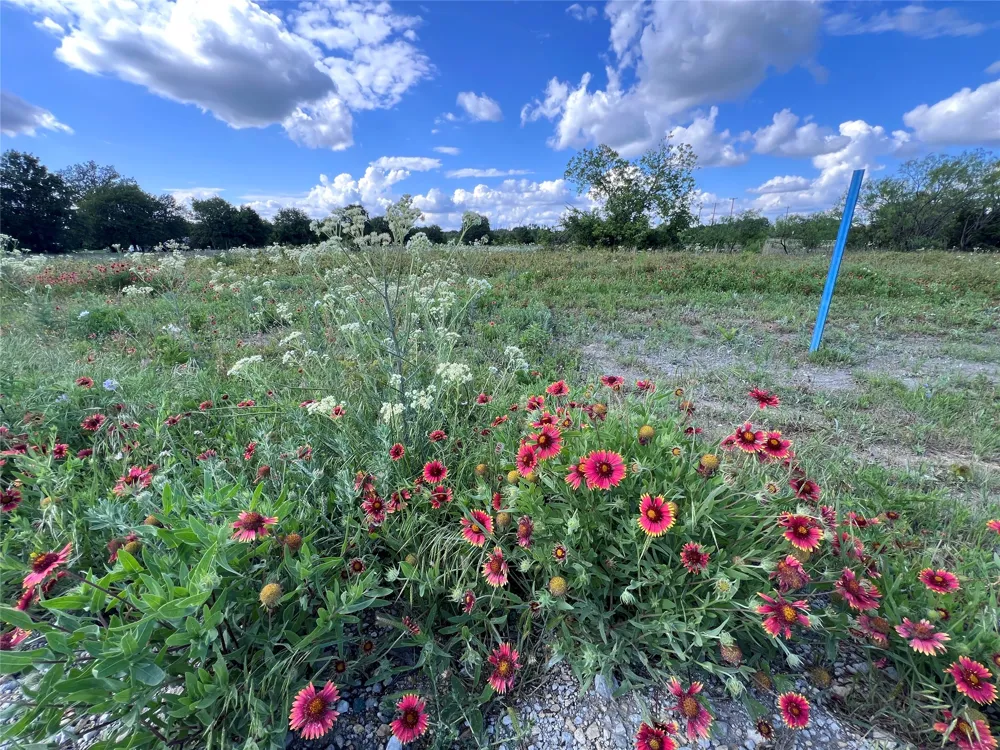 Live Oak Trail Clyde, TX 79510