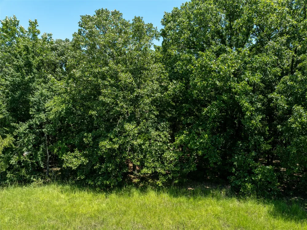 906 E Paris, TX 75462
