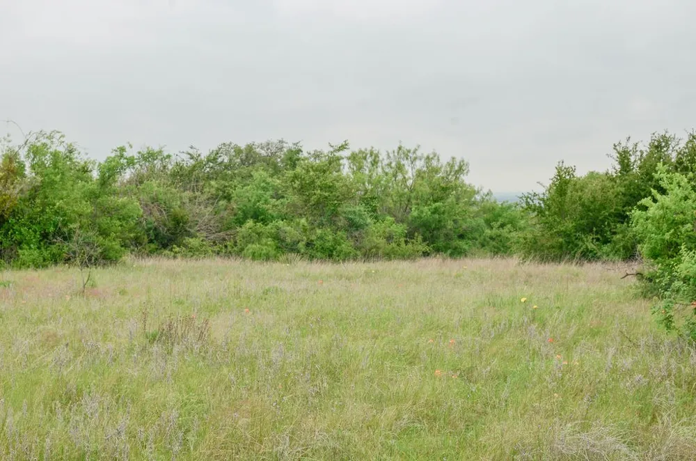 1210 County Road 341 Dublin, TX 76446