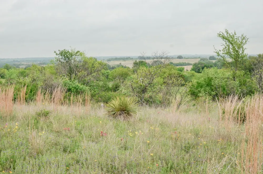 1210 County Road 341 Dublin, TX 76446