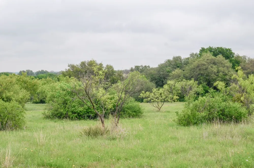 1210 County Road 341 Dublin, TX 76446