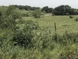 1210 County Road 341 Dublin, TX 76446