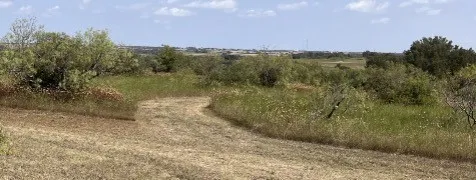 1210 County Road 341 Dublin, TX 76446