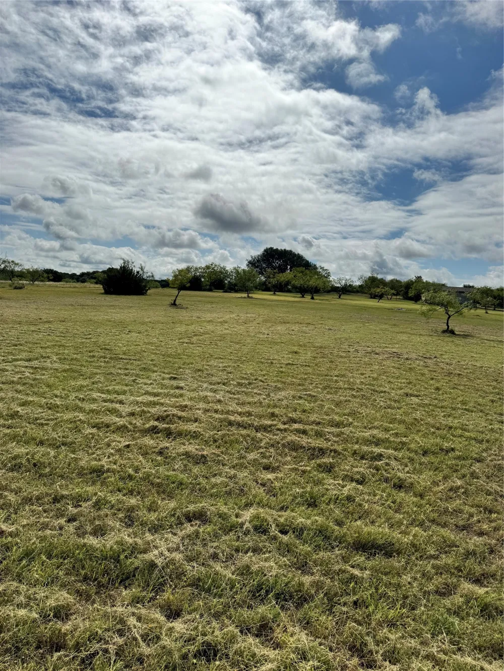 1210 County Road 341 Dublin, TX 76446