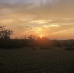 1210 County Road 341 Dublin, TX 76446