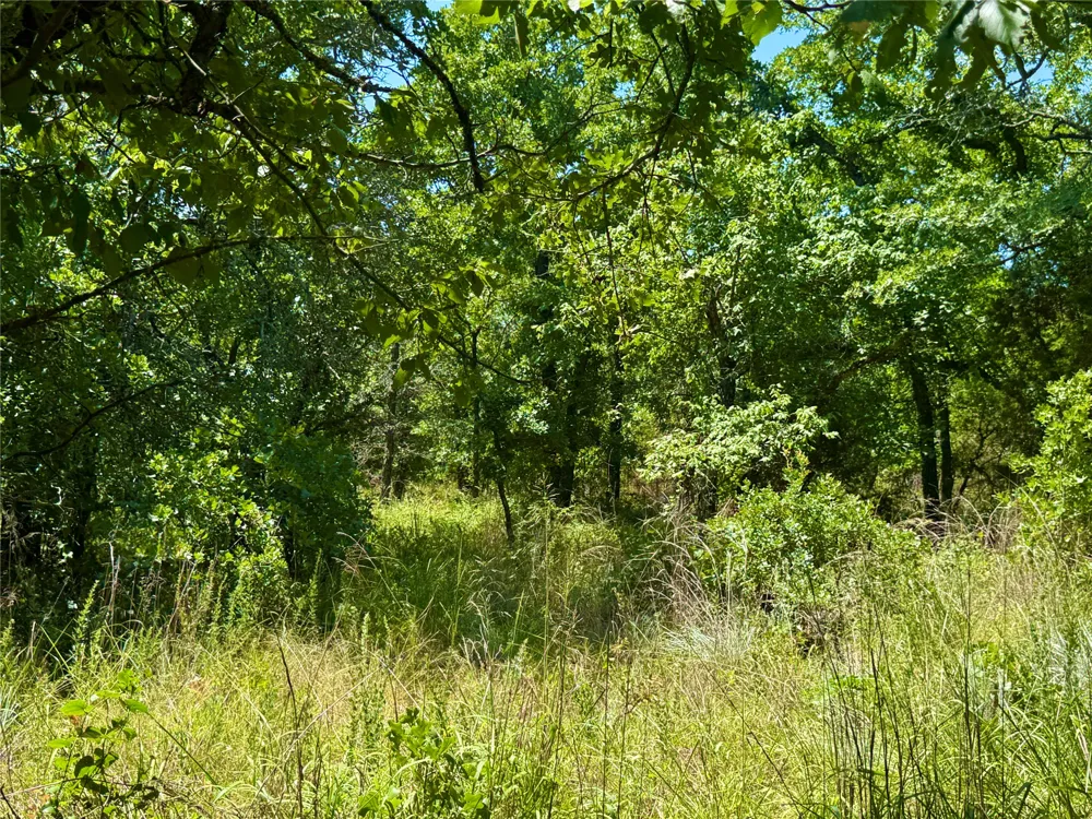 350 Indian Camp Road Weatherford, TX 76088