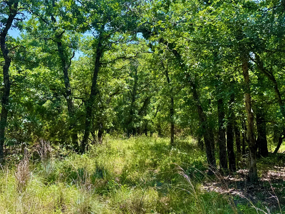 350 Indian Camp Road Weatherford, TX 76088