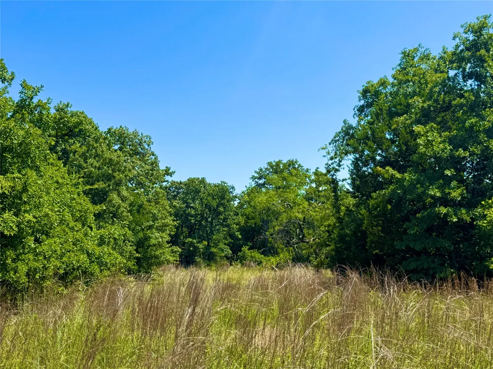 350 Indian Camp Road Weatherford, TX 76088