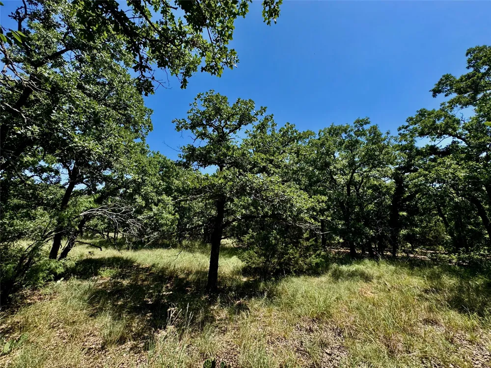 350 Indian Camp Road Weatherford, TX 76088