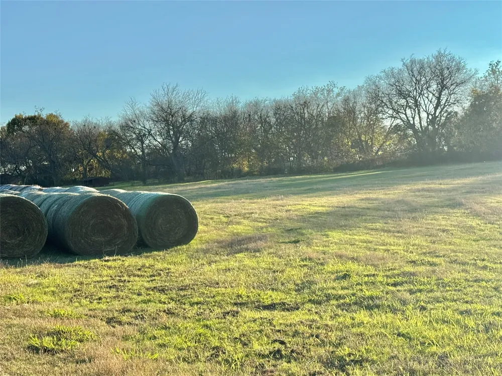 738 Cole Street Gainesville, TX 76240