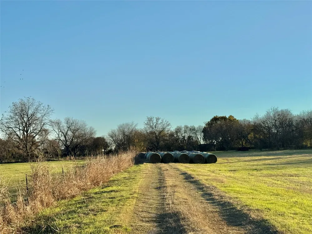 738 Cole Street Gainesville, TX 76240