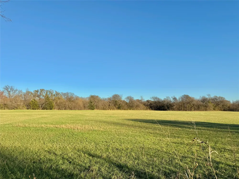 738 Cole Street Gainesville, TX 76240