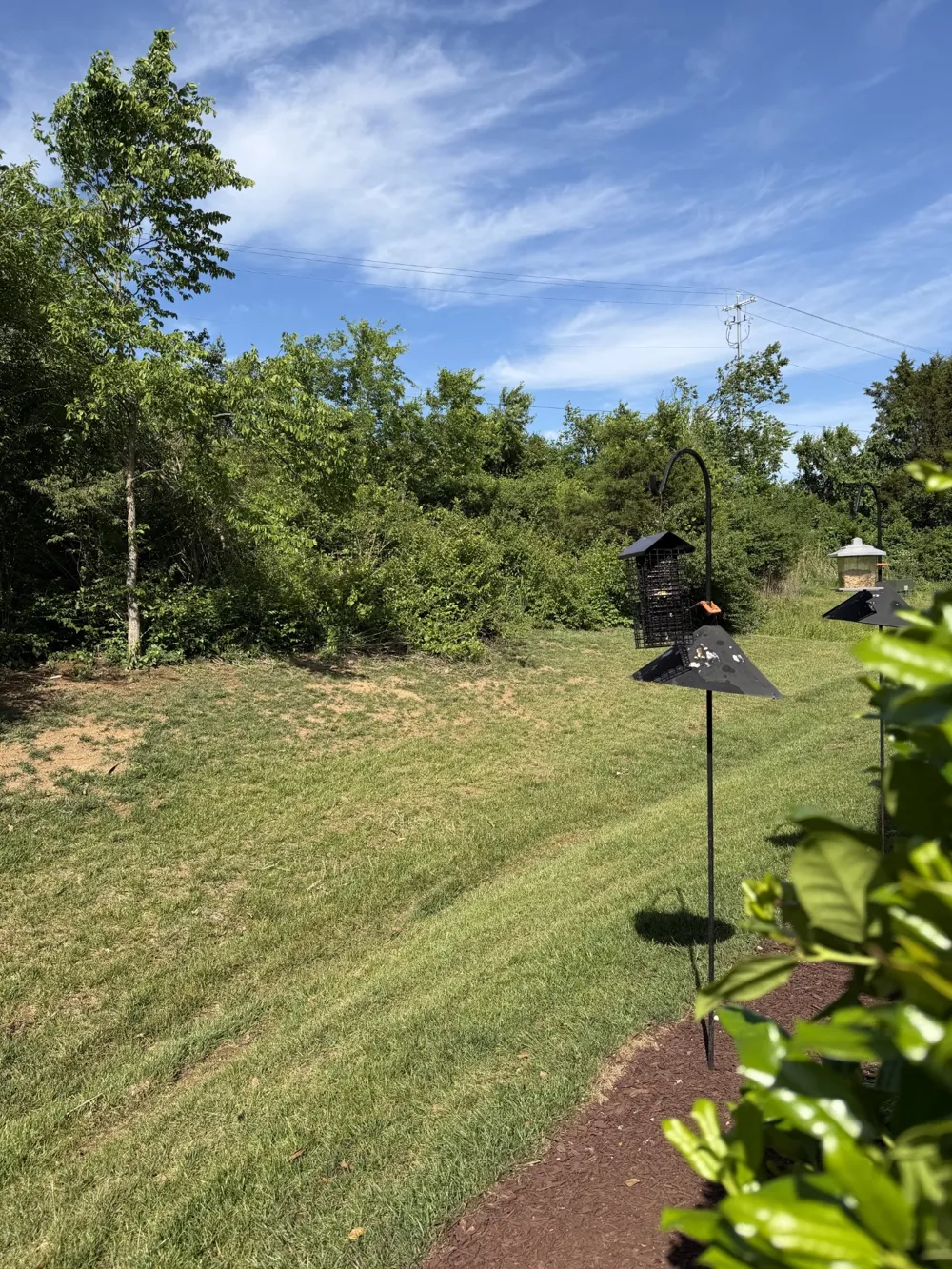 1634 Foston Ln Gallatin, TN 37066