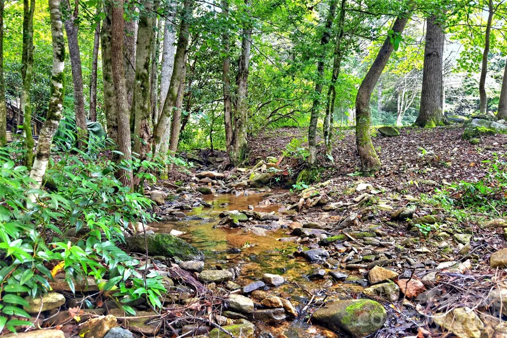 664 Paxton Creek Road Marion, NC 28752
