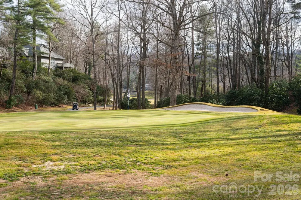 208 Glenroy Court Flat Rock, NC 28731