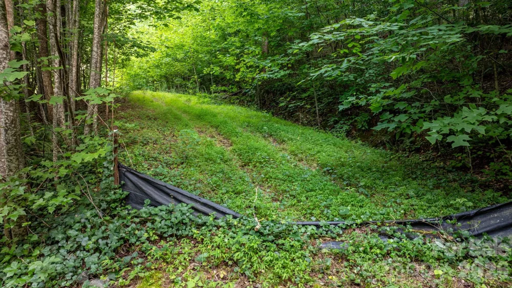 2945 Rockwood Drive Lenoir, NC 28645