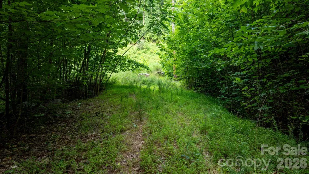 2945 Rockwood Drive Lenoir, NC 28645