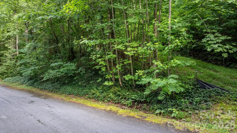 2945 Rockwood Drive Lenoir, NC 28645