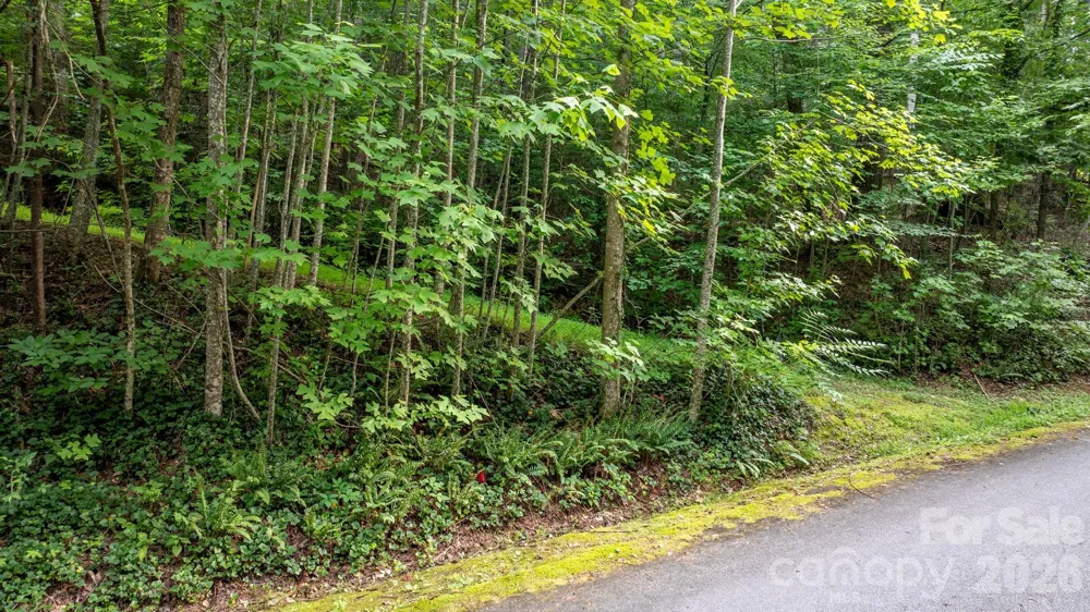 2945 Rockwood Drive Lenoir, NC 28645