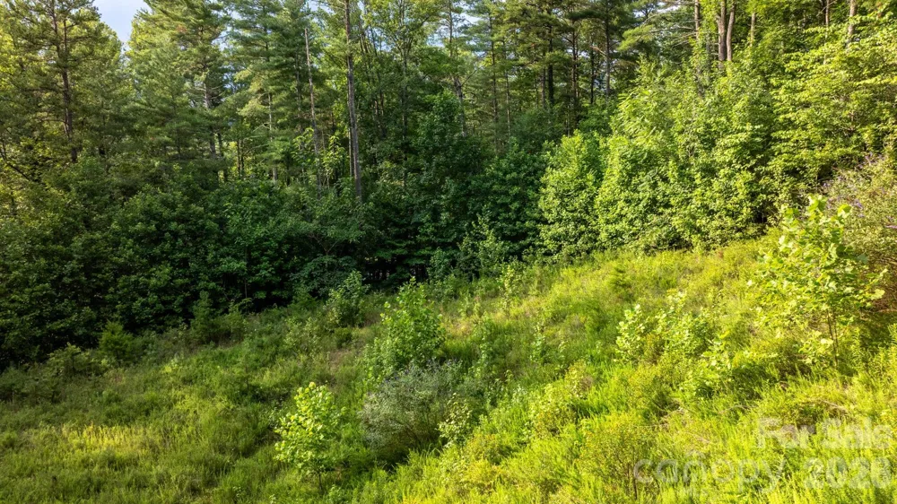 2945 Rockwood Drive Lenoir, NC 28645