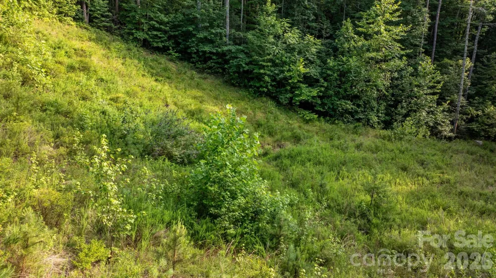 2945 Rockwood Drive Lenoir, NC 28645
