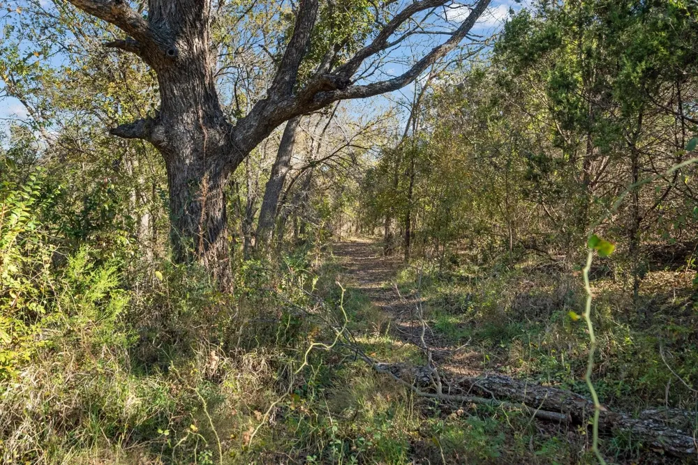 10723 County Road 539 Hico, TX 76457