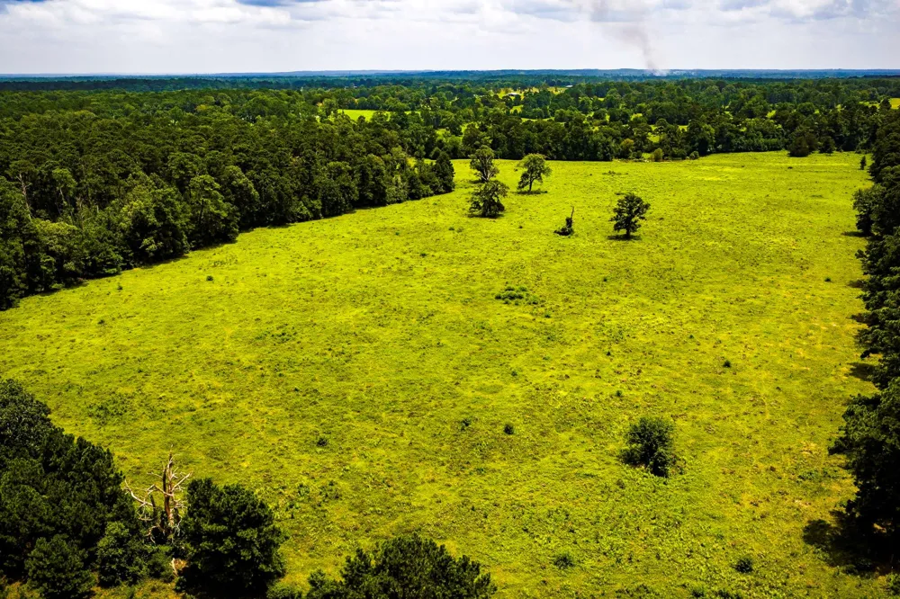 1375 ROAD E New Waverly, TX 77358