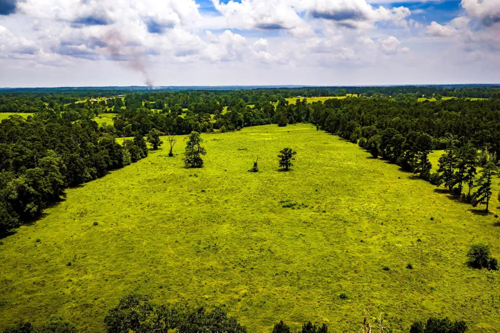 1375 ROAD E New Waverly, TX 77358