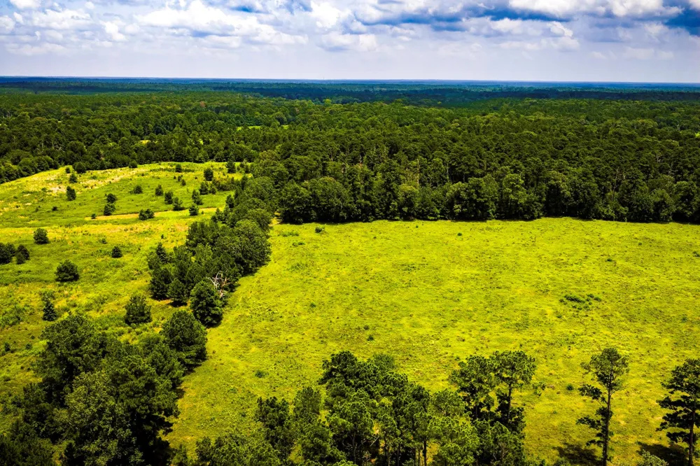 1375 ROAD E New Waverly, TX 77358