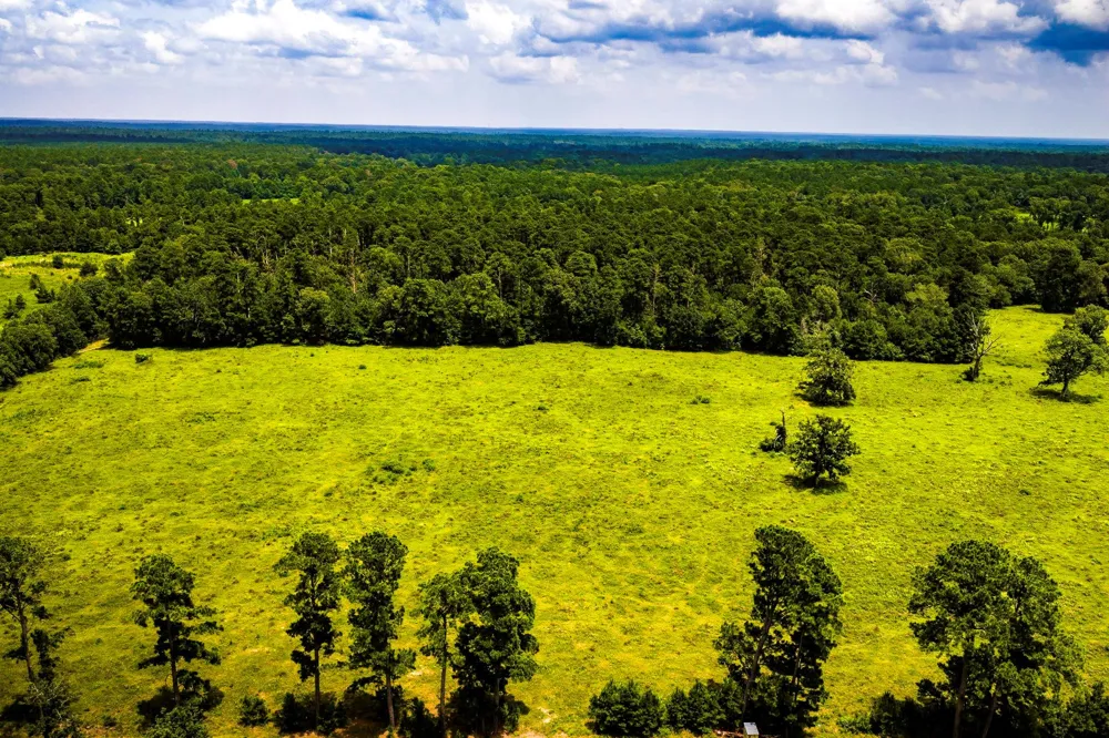 1375 ROAD E New Waverly, TX 77358