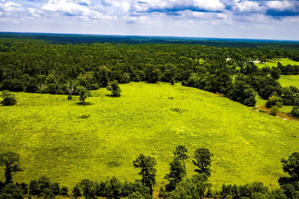 1375 ROAD E New Waverly, TX 77358