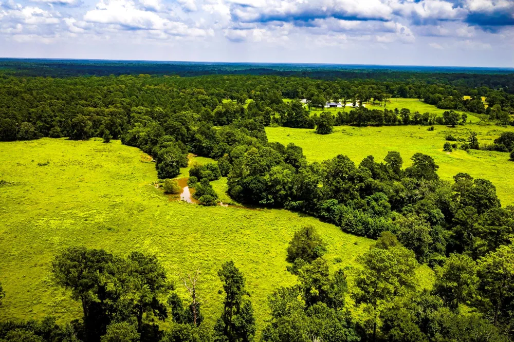 1375 ROAD E New Waverly, TX 77358
