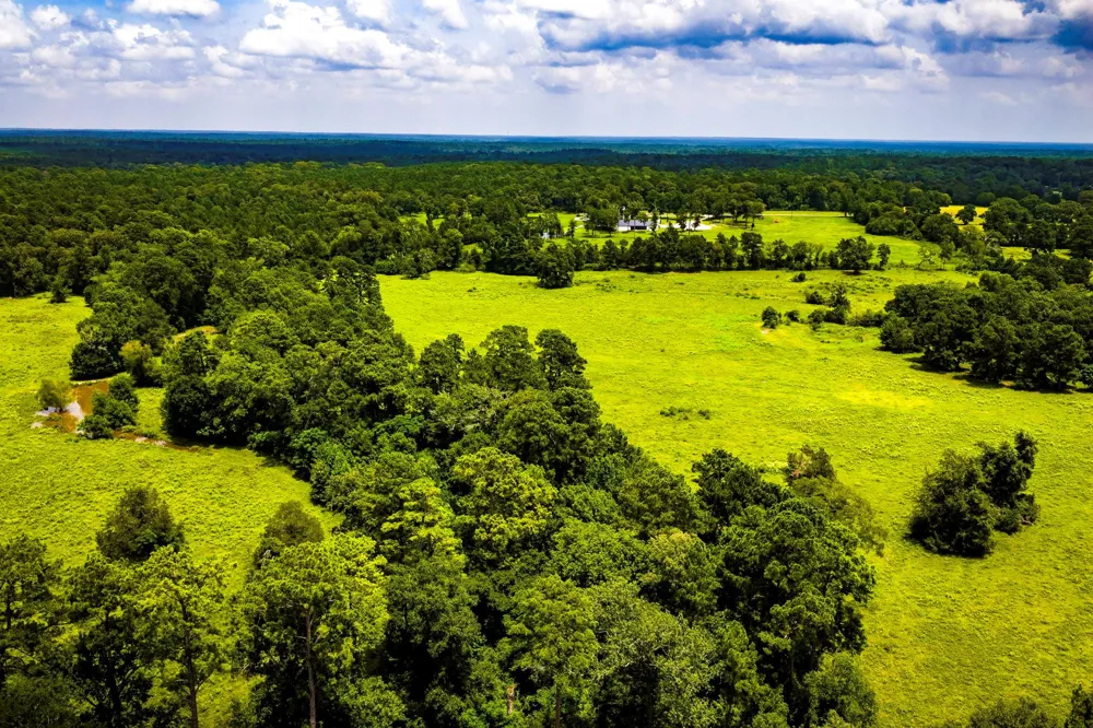 1375 ROAD E New Waverly, TX 77358
