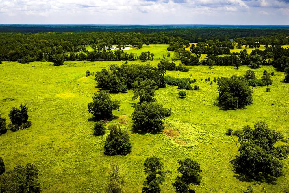 1375 ROAD E New Waverly, TX 77358