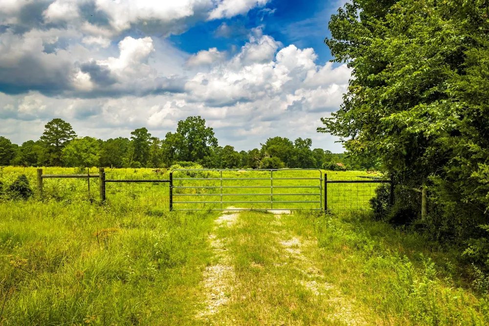 1375 ROAD E New Waverly, TX 77358