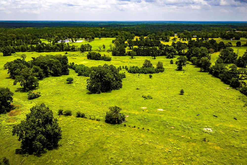 1375 ROAD E New Waverly, TX 77358