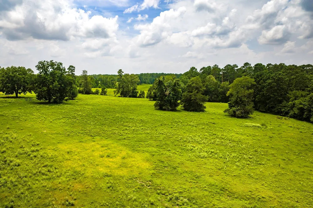 1375 ROAD E New Waverly, TX 77358
