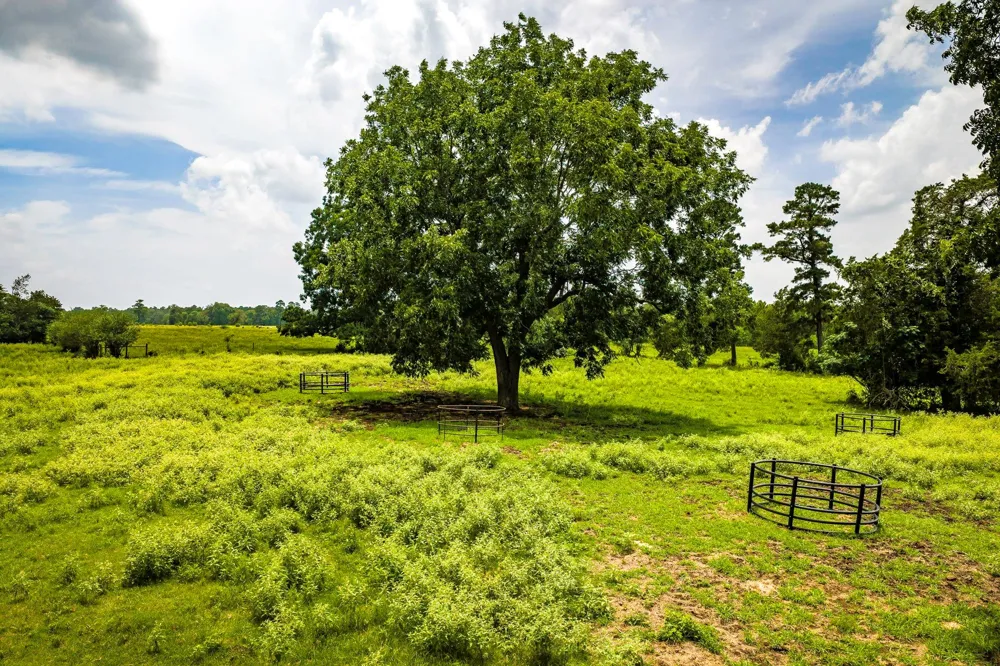 1375 ROAD E New Waverly, TX 77358