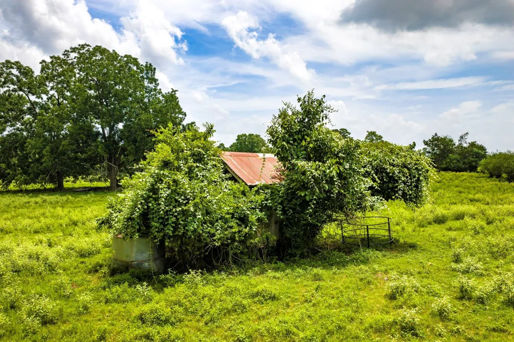 1375 ROAD E New Waverly, TX 77358