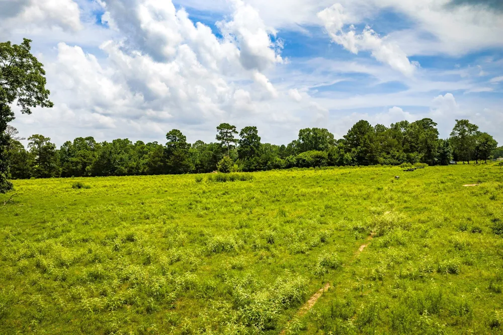 1375 ROAD E New Waverly, TX 77358