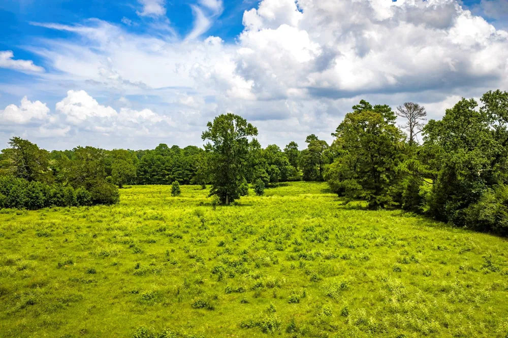 1375 ROAD E New Waverly, TX 77358
