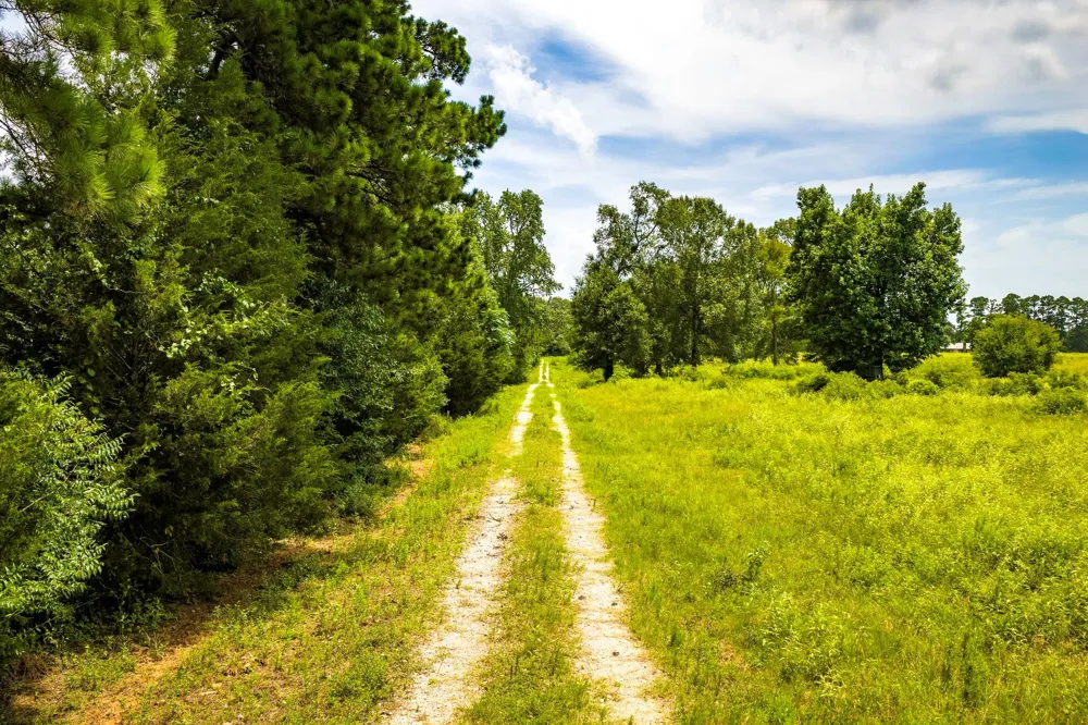 1375 ROAD E New Waverly, TX 77358