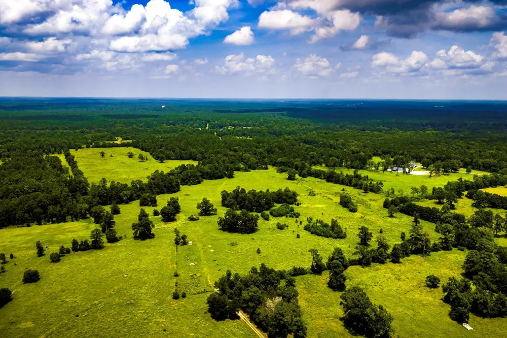 1375 ROAD E New Waverly, TX 77358