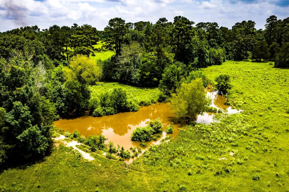1375 ROAD E New Waverly, TX 77358