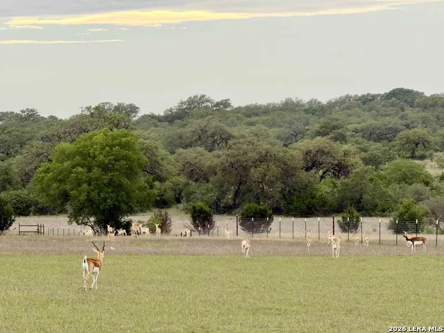 835 WINANS RANCH RD Bandera, TX 78003