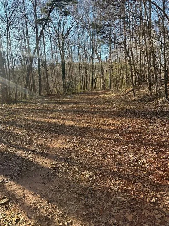 0 Collier Street SW Covington, GA 30014